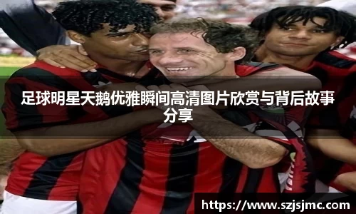 足球明星天鹅优雅瞬间高清图片欣赏与背后故事分享